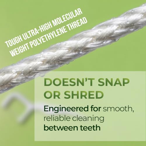Image of Bentodent Toothpaste Biodegradable Dental Floss Picks- 30 Pcs Triple Cleaning Action