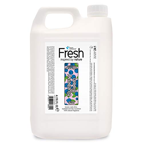 GROOM PROFESSIONAL Fresh Blueberry Bloom Shampoing hydratant pour chien 4 l Cover