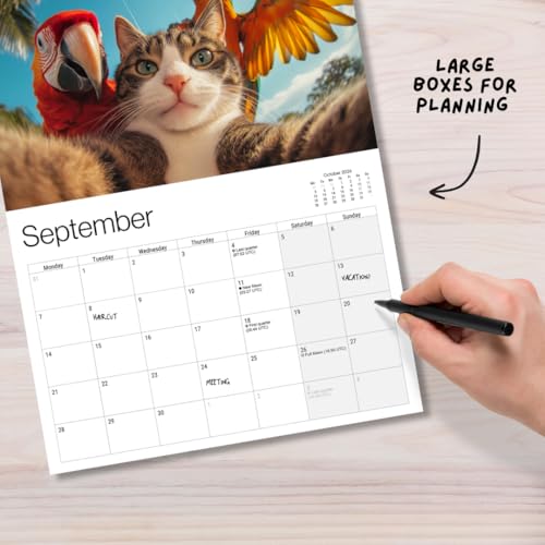 Cat Selfies Cat Calendar 2026, Funny Cat Wall Calendar 2026. Large 12 Month, Month to View with Notes & Checklist Pages, UK Made by Our World - Image 4