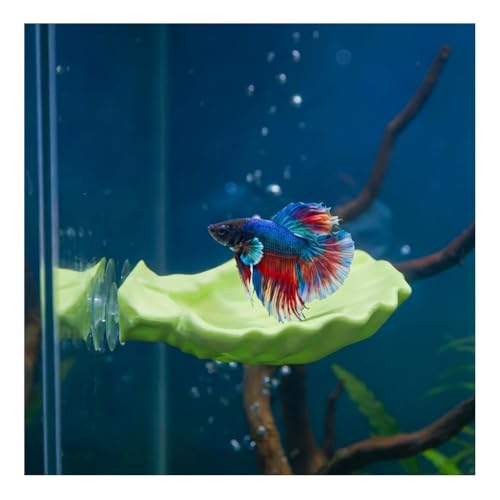 ELIRAR Betta Fish Hammock, Shell Pad with Strong Suction Cup Natural Resting Bed for Bettas Soft Fin-Safe Silicone Betta Fish Tank Decor and Accessories (Green)