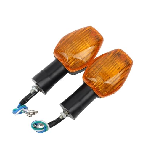 Clignotant LED Moto Idéal pour Balades en Hornet 600 et CBR 929