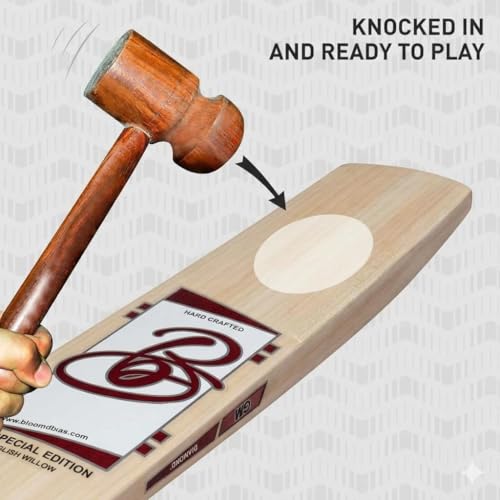 Image of Full Size English Willow Cricket Bat, Cross Weave Tape on The Face | Lightweight | Wooden Long Handle | Free Cover Play for Leather Ball (Special Edition)