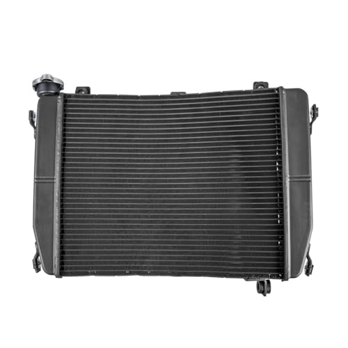 Radiateur de refroidissement Tuono 660 pour maintenir la température sur circuit