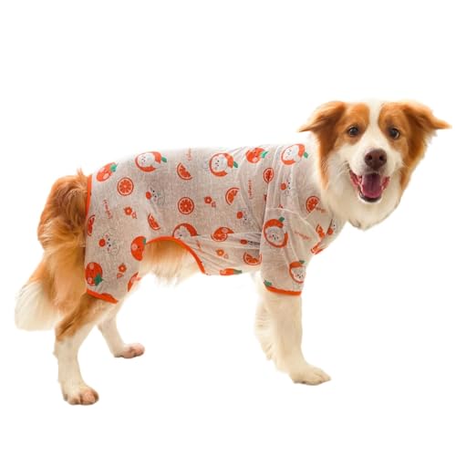Pet Princess Four-Legged Apparel Cartoon Fruit Sweatshirt Female Cats Outfit
