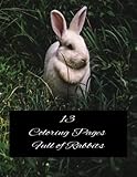  13 Coloring Pages Full of Rabbits: 13 Coloring Pages Full of Rabbits 8.5x11