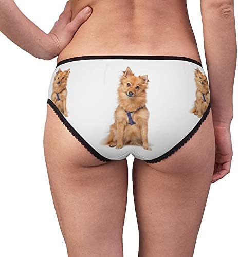 Dutch Keeshond Panties, Dutch Keeshond Underwear, Briefs, Cotton Briefs, Funny Underwear, Panties For Women