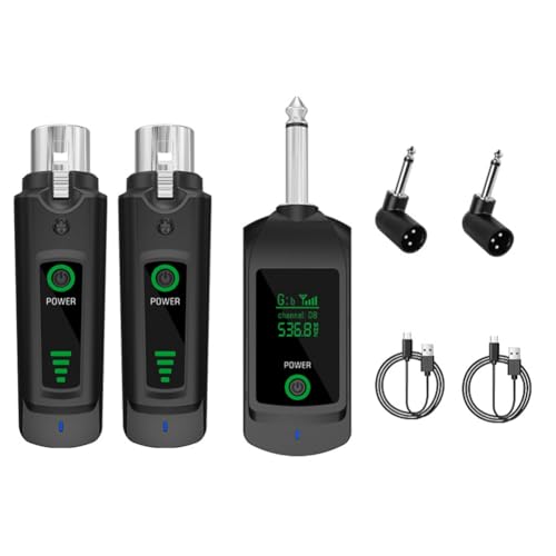 Eieenotee 2.4G Drahtloses Mikrofon-Set