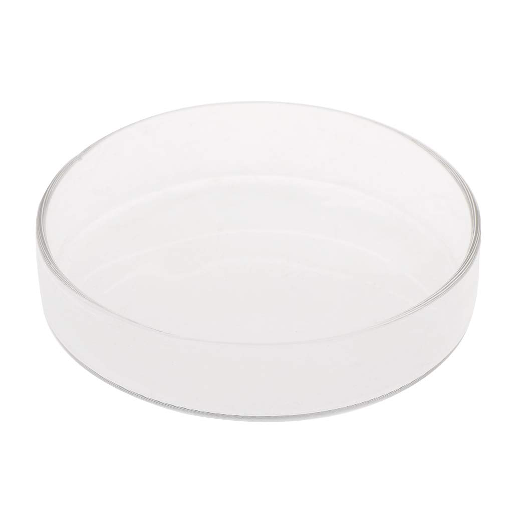 Shrimp Feeder Dish Glass Feeding Tray Aquarium Fish for Reptiles Round Food Bowl 3.9in 3.5in 3.2in 3.0in 2.6in 2.4i