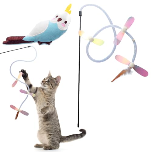 HOMEBASICS 2_Zbg L  L炵  ʂ ܂ Lނ t  ȔԒ̔L炵 ނ L_ Lp ߋ VRS  lV ȒP ^s XgX 얞 q