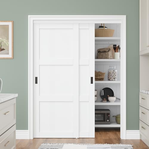 Bypass Solid Core Sliding Closet Door 60x80, Double Closet Panels