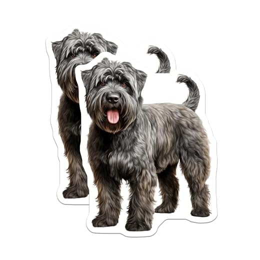 (2 Pack) Bouvier des Flandres Dog Stickers - Realistic Canine Art - Pet Parent Decals - 5" On Longest Side - Sticks to Smooth Flat Surfaces - Made in USA - BMCS26323
