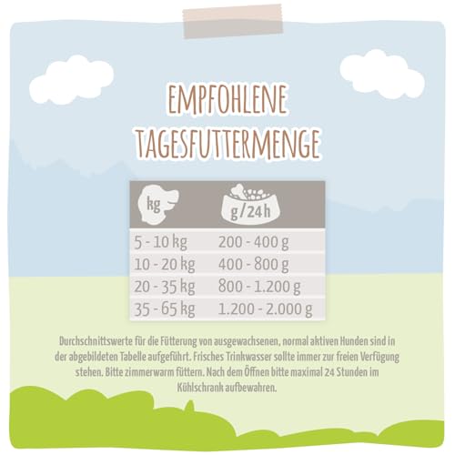 MjAMjAM – Premium Nassfutter für Hunde - vorzüglicher Strauß an fruchtigem Apfel, 6er Pack (6 x 200g), getreidefrei mit extra viel Fleisch