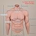 YZFQMXQK Silicone Muscle Suit Realistic Fake Muscle Costume Male Chest with Arms for Cosplay Halloween Props,Color2,L
