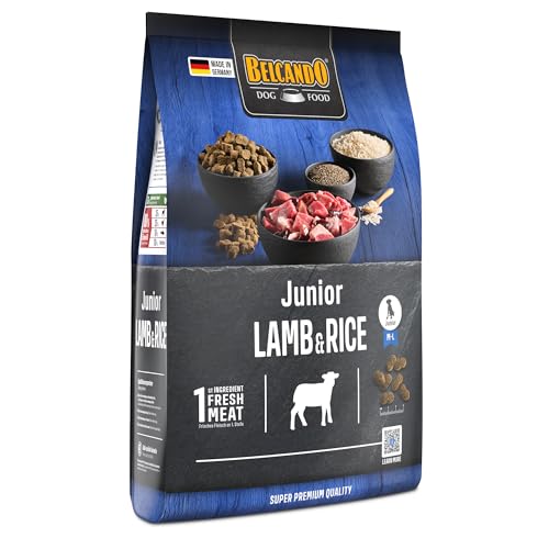 Belcando Junior Lamb & Rice [4 kg] Hundefutter | Trockenfutter für Junghunde | Alleinfuttermittel für Junghunde ab 4 Monaten