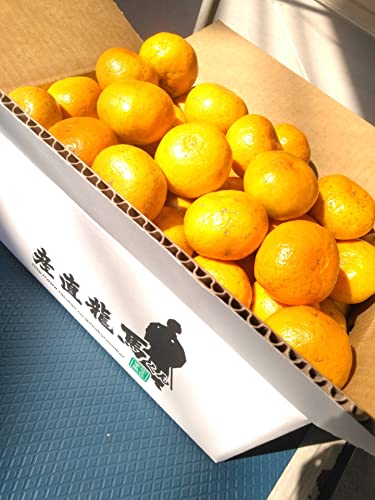 高知産 早生山北みかん5kgサイズお任せ! ワケ有り一般ご家庭用蜜柑:ミカン