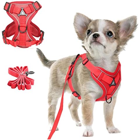TENGZHI Breathable Mesh Dog Harness Set Reflective Escape Proof Puppy Cat Leash Harness with D-Ring Adjustable Soft Dog Vest Harness Small Medium Pet Supplies for Outdoor Walking Hiking Cover