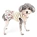 Ranphy Knitted Pet Dresses Girl Small Dog Clothes Puppy Floral Skirt Sleeveless Shirt with Ruffles Cat Sundress Yorkie Chihuahua Spring Summer Outfits, Beige, XS