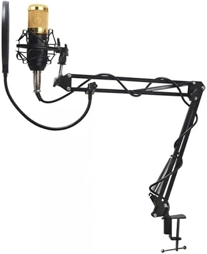 Kit Microfone Estúdio BM800 + Pop Filter + Aranha + Braço Articulado 813 - Lorben