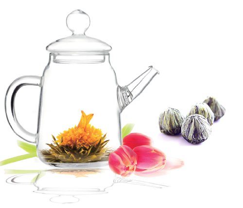 Tea Beyond Glass Teapot and Tea Set (16 oz Premium Bloom 4 cts)