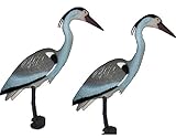 Unibos | NATURAL Looking Heron Bird Decoy | Pack of 2 | Bird Deterrent Scarers For Garden Ponds & Fisheries | Standing Grey Heron | Weatherproof - 78CM