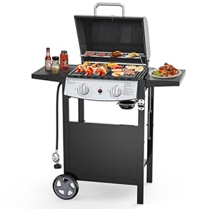 2-Burner Propane Gas BBQ Grill, 20,...