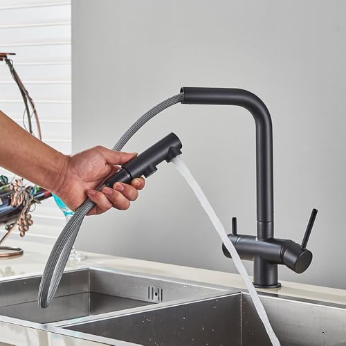 Robinet d'eau potable double en laiton brossé pour évier haut de gamme