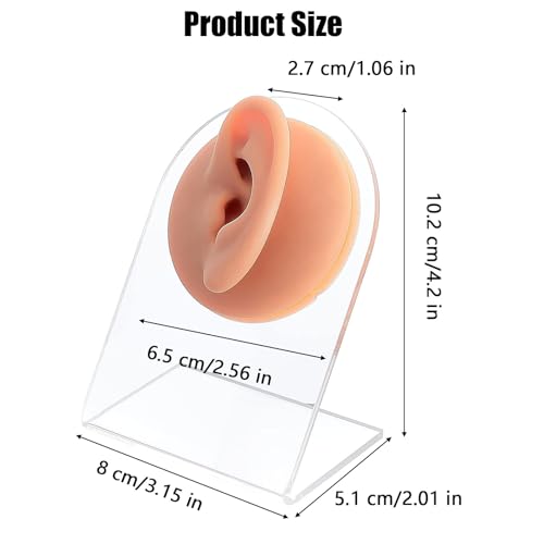 Menschliches Ohrmodell , 1 Paar Silikon Ohr Modell Ohr Dekorationen, Silikon-Ohr-Modell, Piercing-Silikon-Modell, Weiches Silikon, Mit Acryl Display Ständer, Für Ohrringe, Schmuck-Display, Lehrmittel