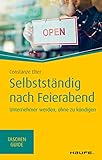 Selbstständig nach Feierabend: Unternehmer werden, ohne zu kündigen (Haufe TaschenGuide 10218)