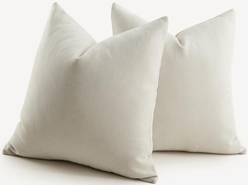 MANDIOO Pack of 2 Chenille Throw Pillow Covers Elegant Design Soft and Luxurious Decorative Cushion Covers Pillowcase Couch Sofa Bedroom Living Room Home Decor 20x20 Inch Beige