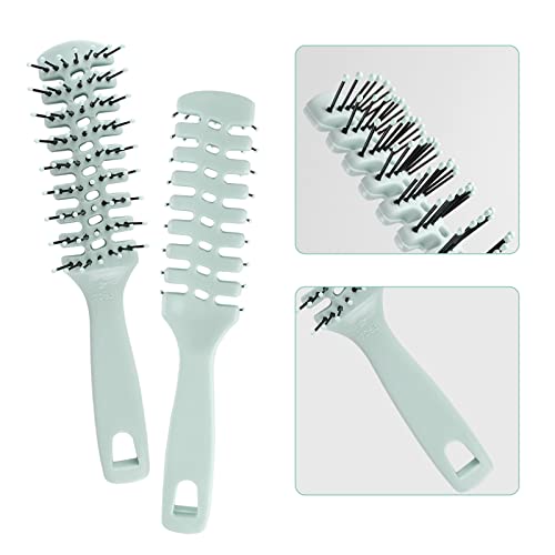 Disposable Hair Brushes,20 Packbulk Hair Brushes For Women,Individually Wrapped For Women Shelter, Homeless, Hotel,Camping（Green） #TOP4