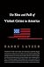 The Rise and Fall of Violent Crime in America