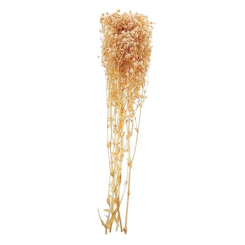 Ramo de flores secas Babysbreath para decoración natural
