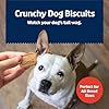 Blue Buffalo Health Bars Crunchy Dog Biscuits, Variety Pack, Bacon, Egg & Cheese, Apple & Yogurt, Pumpkin & Cinnamon, 16-oz Bags #3