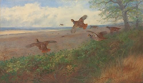 Tableaux Tableau Toile Affiches d'Art Décoration Murale Nature 60x90