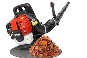HECHT Benzin Laubbläser 43 cm³ 1,6 PS bis 180 km/h