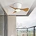YOUXI Piccolo Ventilatore Da Soffitto Con Luce E Telecomando Silenzioso Ventilatore a Soffitto Con Lampada Fan Plafoniera Creativa 6 Velocità Plafoniera Dimmerabile Per Camera Da Letto,cucina,Natural