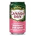 Canada Dry Fruit Splash Strawberry Ginger Ale Soda, 12 fl oz cans, 12 pack