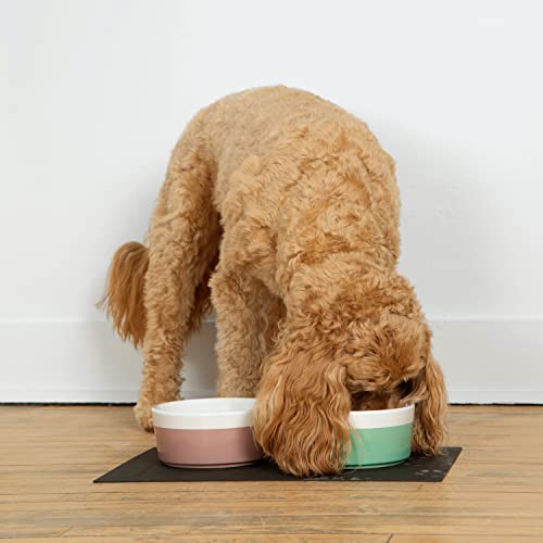 Waggo Dipper Ceramic Dog Bowl Mint Green/White Size Large Heavyweight Durable Dog Food And Water Dish #TOP4