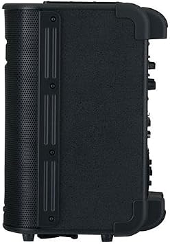 Roland BA-330 PA System, Black