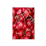 3D Rose Red Macro Food...
