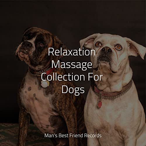 A Brief Connection