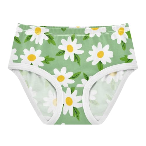 Girls Underwear Toddlers 2t Cotton Cute Panties Girl Colorful Underpants Briefs White Spring Floral Green