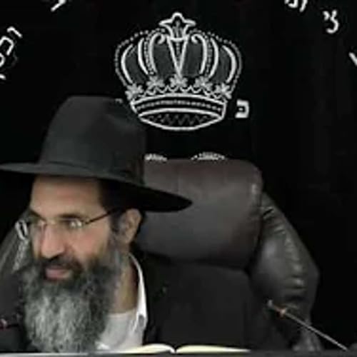 מסכת בבא בתרא - דף כד: | חלק 47 | הרב שי עובד