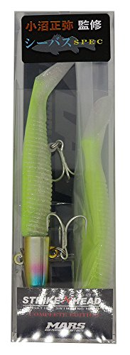 MARS(}[Y) [ XgCNwbh M CEV[oXSP 24g ^C_`[g(qNC)