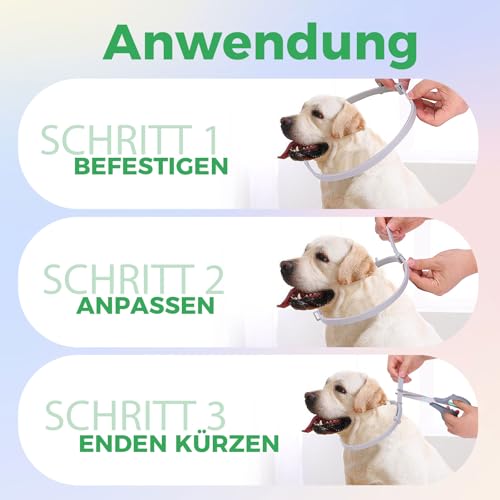 Zeckenhalsband für Hunde 69cm, Wasserdicht & Verstellbar Zeckenschutz Hund Verhindert Leishmaniose-Übertragung, 8 Monate Schutz Grau