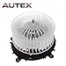 AUTEX HVAC Blower Motor Assembly Compatible with Mercedes Benz CL500 S430 S500 2000-2006 Blower Replacement for Mercedes Benz CL55 CL600 S55 S600 01-06 Blower Motor 2208203142