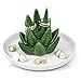 Keramik Aloe Ringhalter Cactus Ring Dish Schmuckhalter Schmuckschale für Ringe Ohrringe Halskette Organisator Brautjungfer Tanabata Geburtstagsgeschenk für Frauen Mädchen,Grün