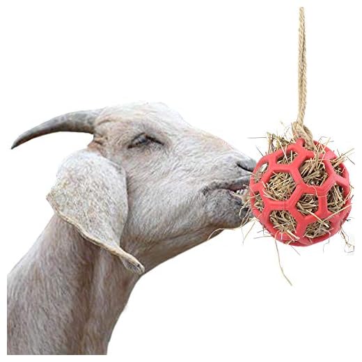 23+ Creative DIY Goat Playground Ideas for Your Farm 5 YUYUSO Goat Feeder Toy, 50' Rope, Headbutting Ball for Exercise, Stress Relief, Hay and Treats Compartment