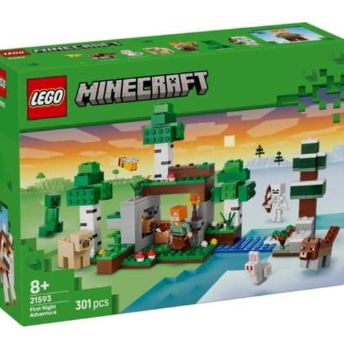 LEGO Minecraft L’aventure de la Première Nuit 21593 - vue 3