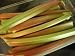25 GLASKINS PERPETUAL RHUBARB (Pieplant) Rheum Rhabarbarum Fruit Vegetable Seeds